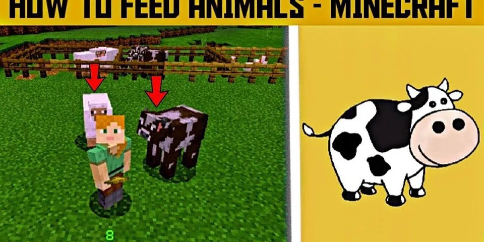 How to feed dog in Minecraft mobile