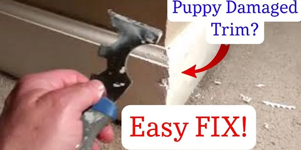 How to fix baseboards dog chewed