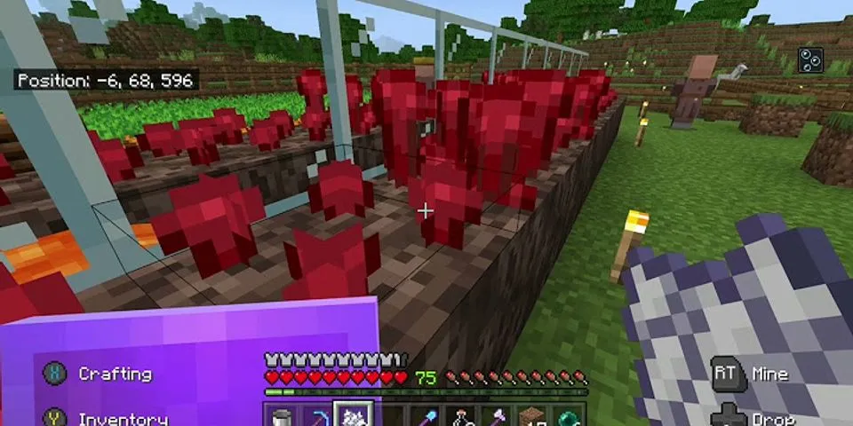 How to speed up nether wart growth
