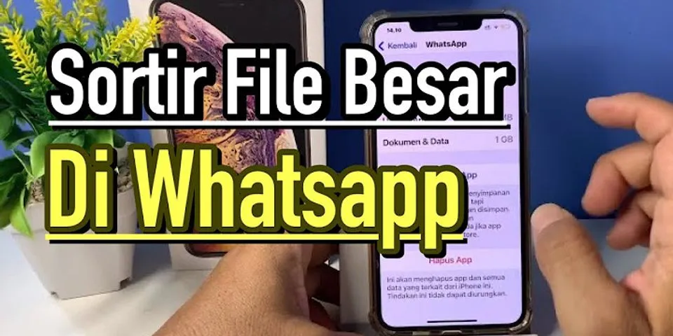 Kenapa WhatsApp tidak bisa di backup di iPhone?