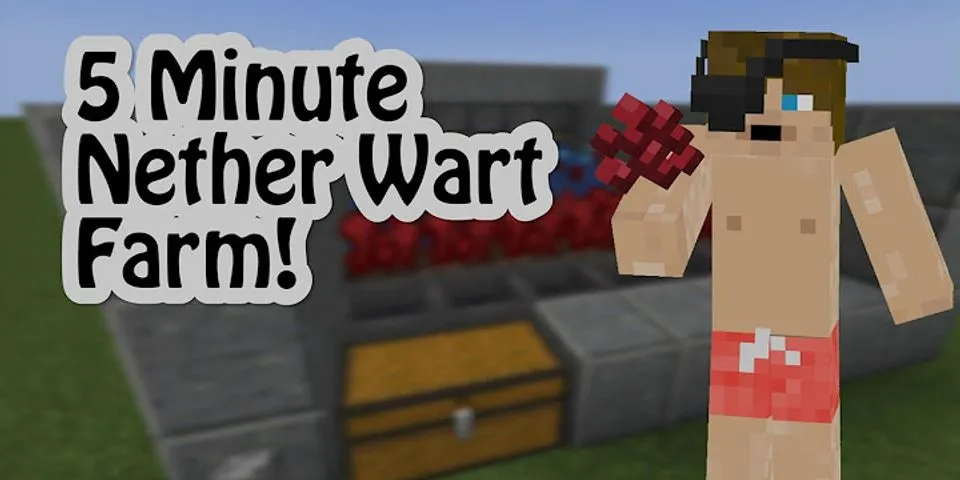 Minecraft Nether Wart farm