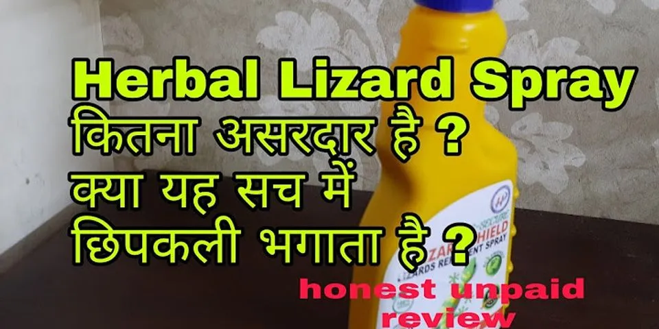 What spray kills lizards best?