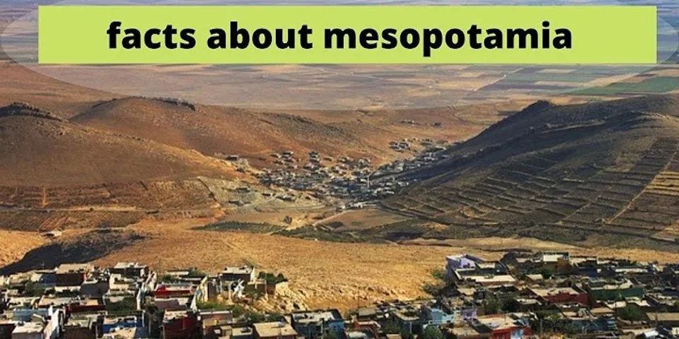 Who found Mesopotamia?